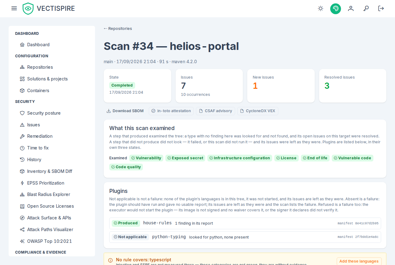 A scan: seven issues and, beneath them, ten occurrences; what it examined; one plugin produced, one not applicable.